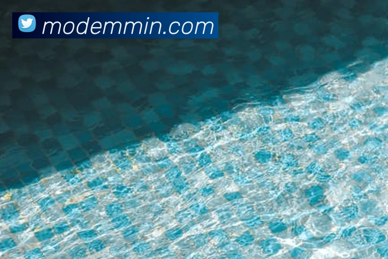 开云手机入口登录官网发展历程